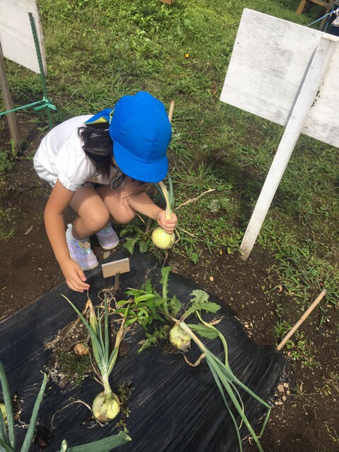 ８月２０日….二学期