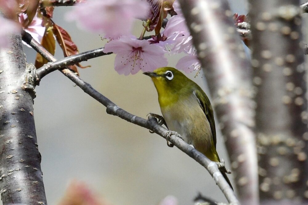 5月2日