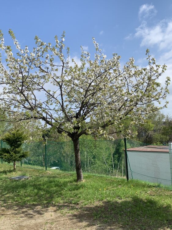 5月10日