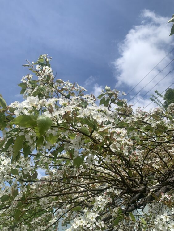 5月16日