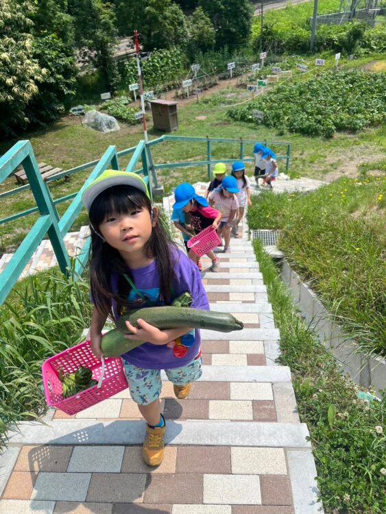 7月17日