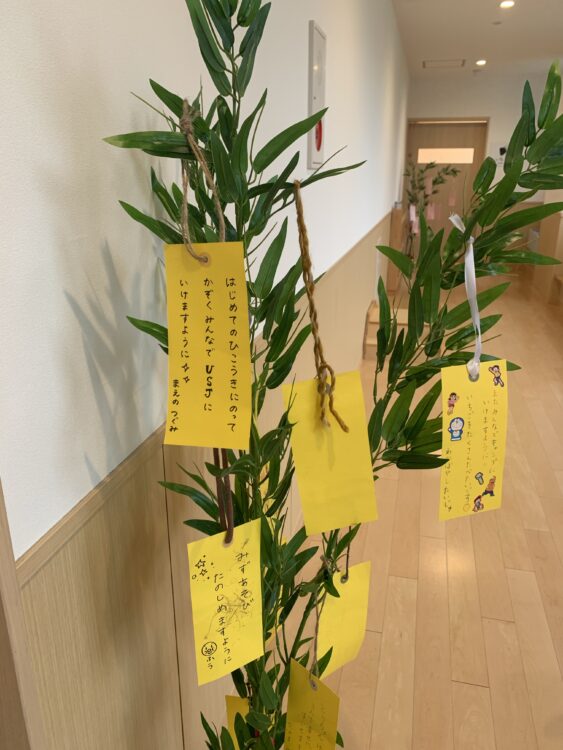 6月30日