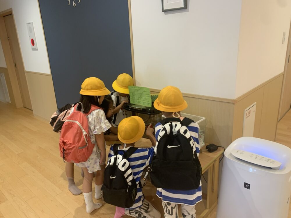 8月20日