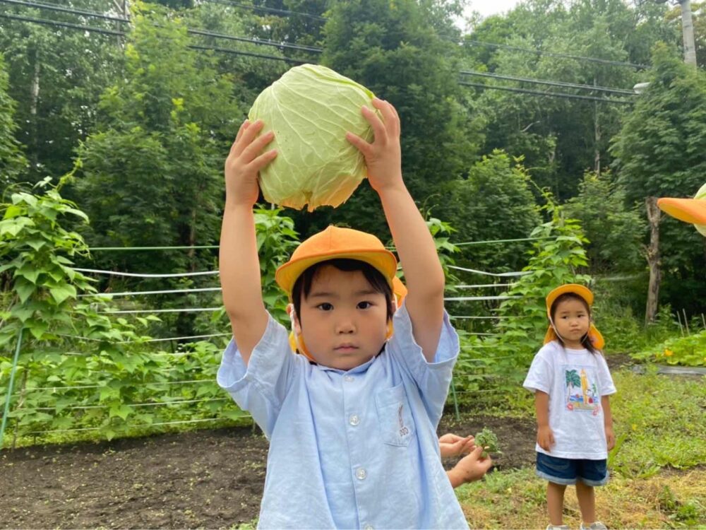7月20日