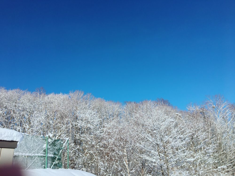 2月7日…☆