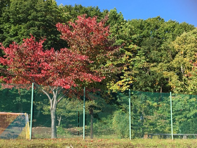 9月26日…サッカー大会☆