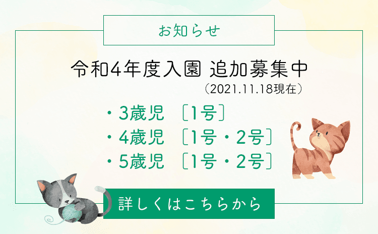 追加募集